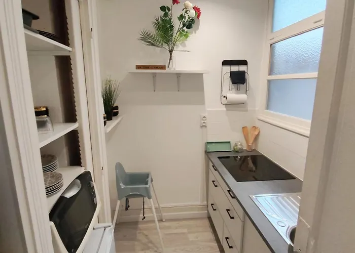 Apartment Cosy Jade T2 Bien Chauffe Quartier Chateau