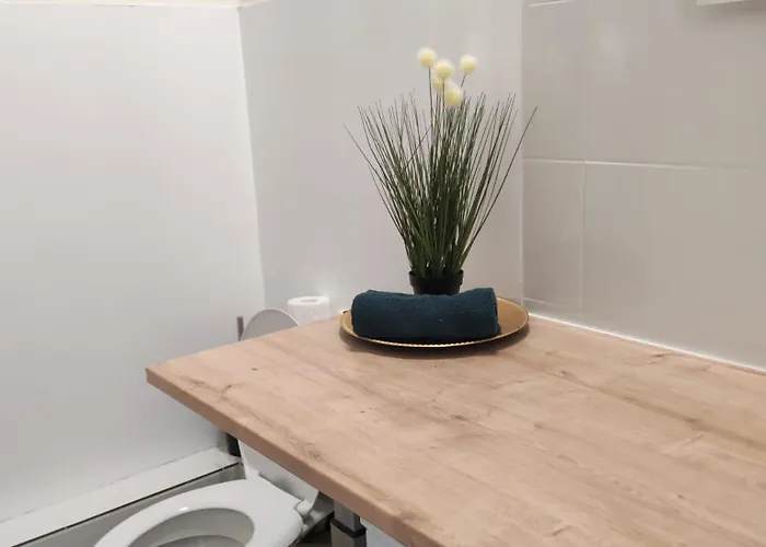 Cosy Jade T2 Bien Chauffe Quartier Chateau Pau