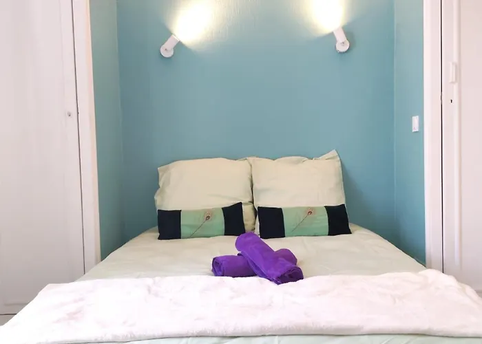 Apartment Cosy Jade T2 Bien Chauffe Quartier Chateau Pau