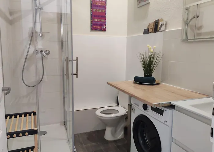 Apartment Cosy Jade T2 Bien Chauffe Quartier Chateau